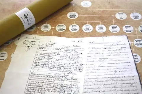 Árbol genealógico
